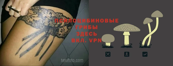 МДПВ Нея