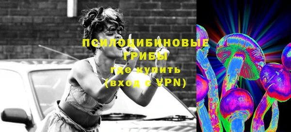 apvp Новозыбков
