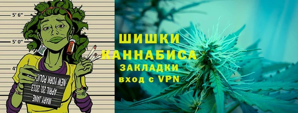 МДПВ Нея