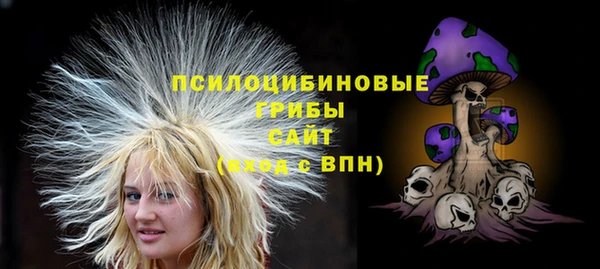 эйфоретик Новодвинск