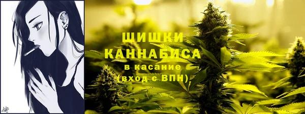 МДПВ Нея