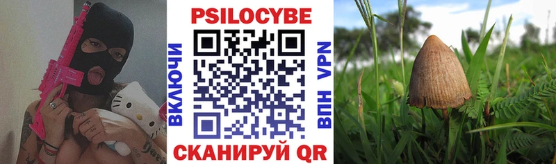 Галлюциногенные грибы мицелий  даркнет сайт  Астрахань 
