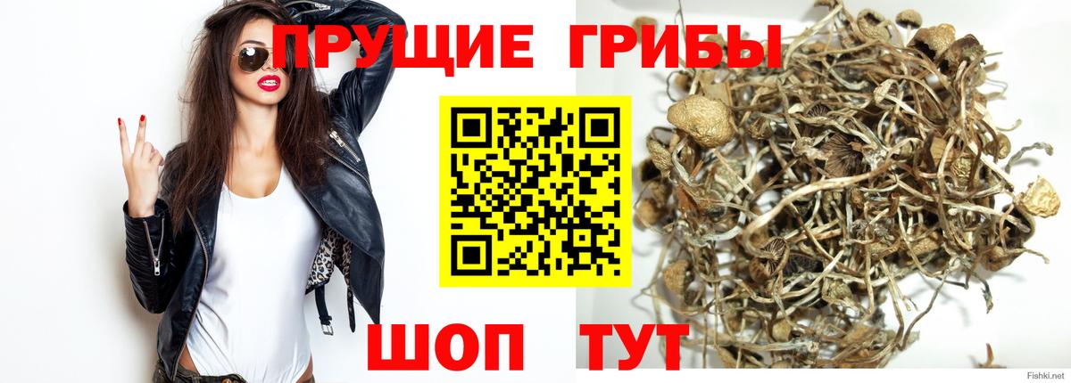 Псилоцибиновые грибы прущие грибы  Вход с VPN  Астрахань 